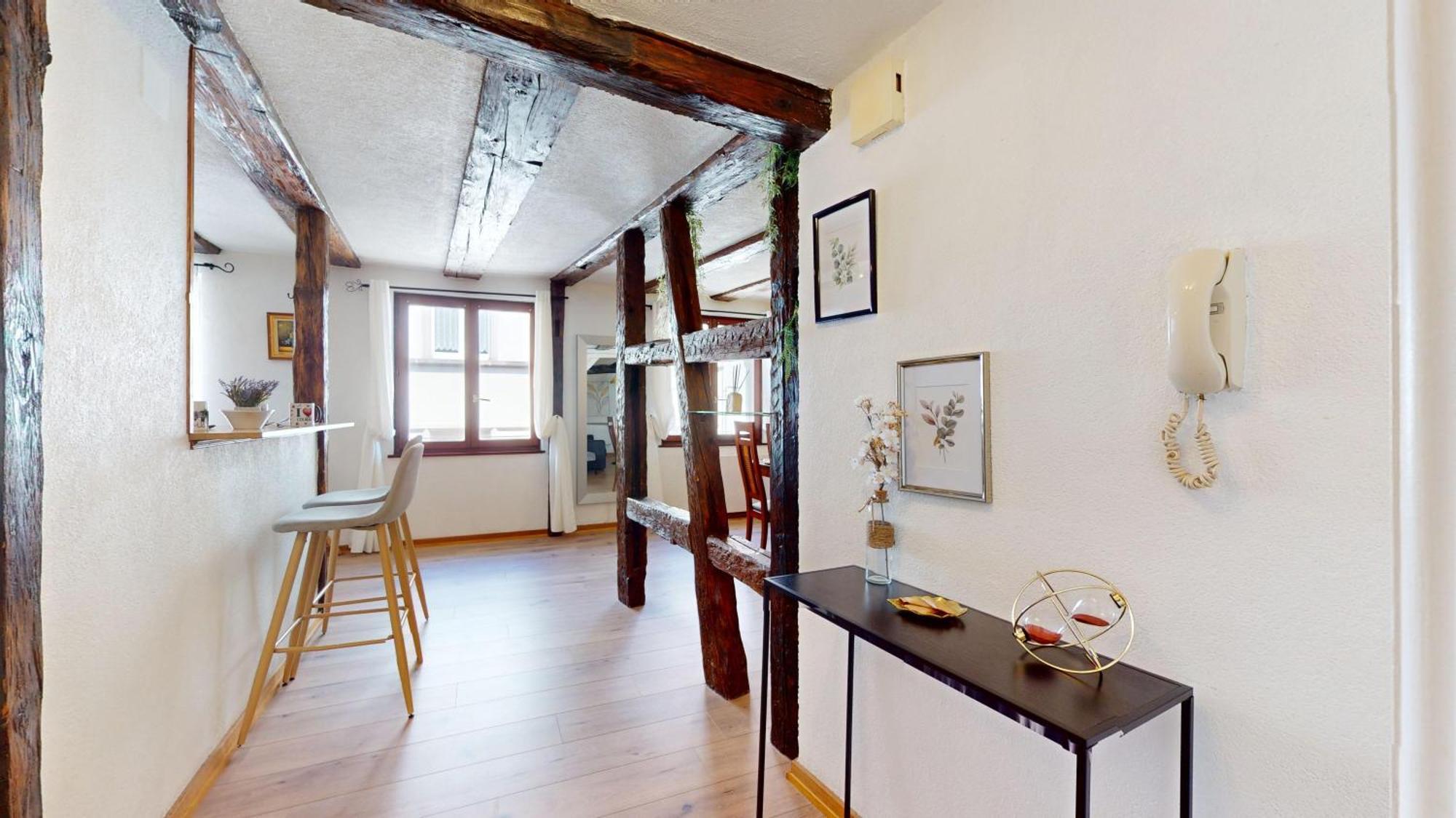 Au Petit Vauban 2 Chambres & Parking Colmar Kültér fotó